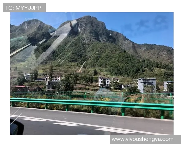 深度对话周磊排球人生的起伏与坚持探讨