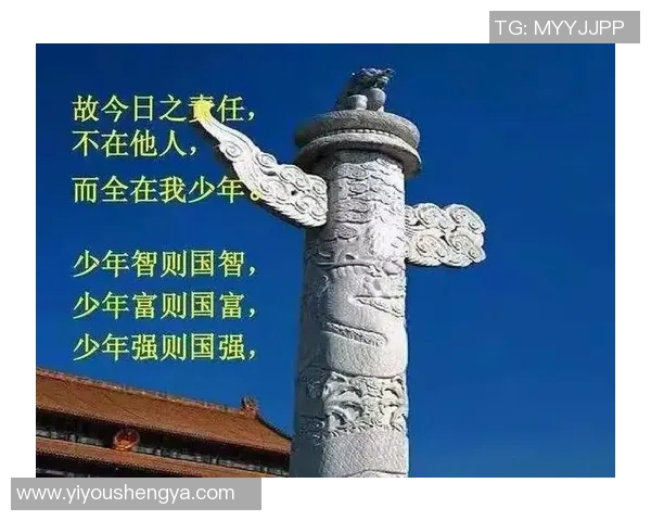 南京排球队的辉煌征程与冠军赛背后的奋斗故事 南京排球队的辉煌征程与冠军赛背后的奋斗故事